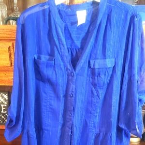 Sparkly Blue Button Down